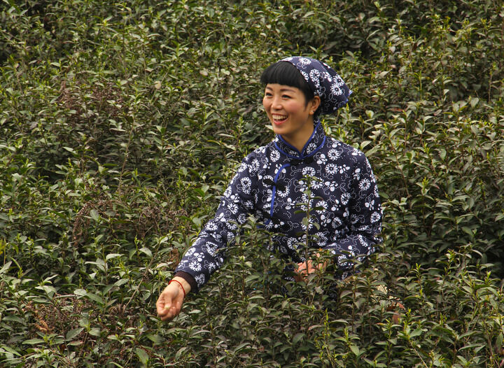 95网主播 双面魅影